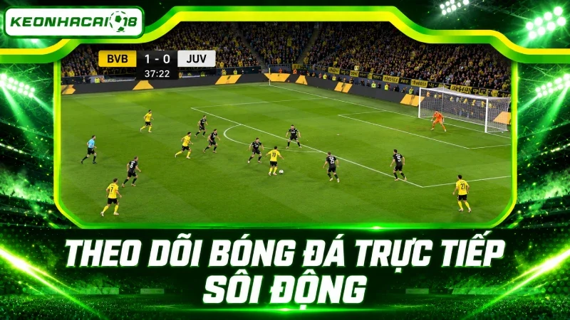 Người hâm mộ theo dõi trận bóng cực kỳ sôi động